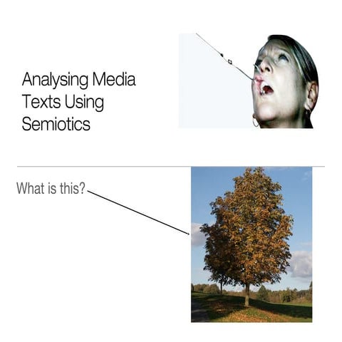 Semiotics and Logo Designs