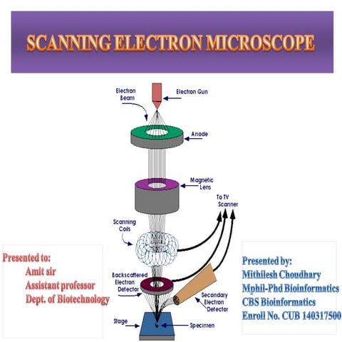SCANNING ELECTRON MICROSCOPE MITHILESH CHOUDHARY | PPT