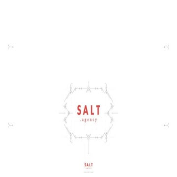 Semrush Site Audit by Dan and Chris Taylors (SALT.agency)