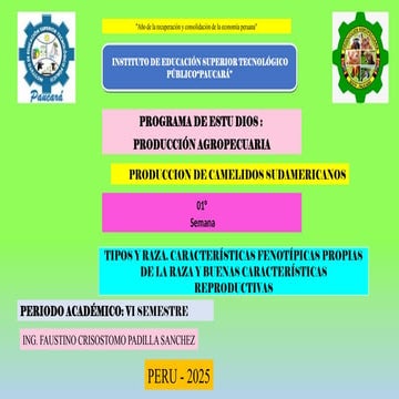 UUUUUDTDTRRTRTRRTTRUUYUYYUIBJJBJ,J,HJBKK