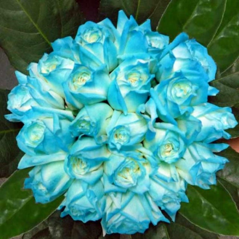 Send Flowers to bangladesh