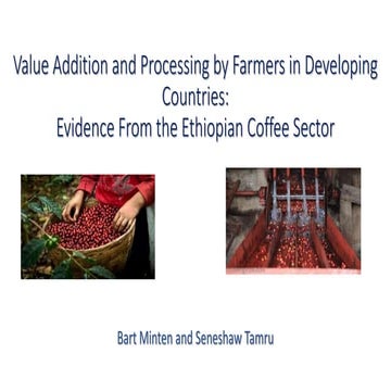 Value Addition and Processing by Farmers in Developing Countries:Evidence Fr...