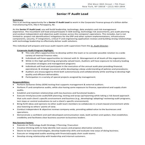 Senior IT Audit Lead | PDF