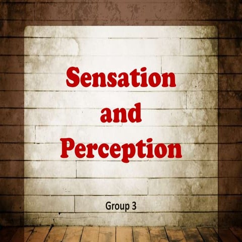 Sensation and Perception