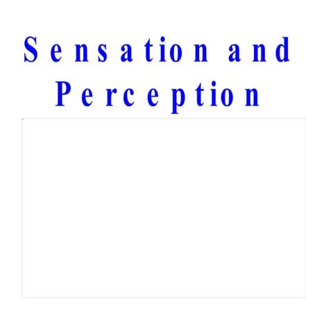 Sensation and Perception