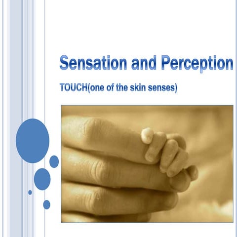 Sensation and perception