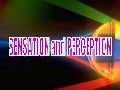 Sensation and perception