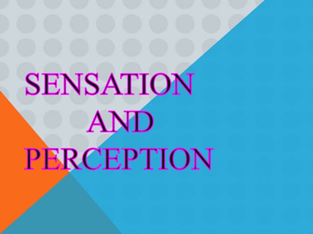 Perception - Psychology | PPTX