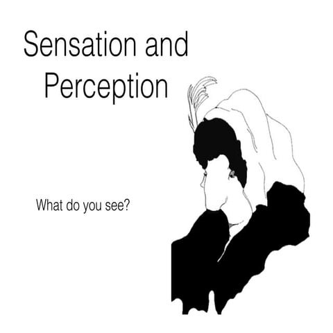 Sensation and perception