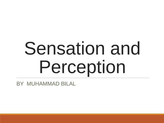 Sensation and perception