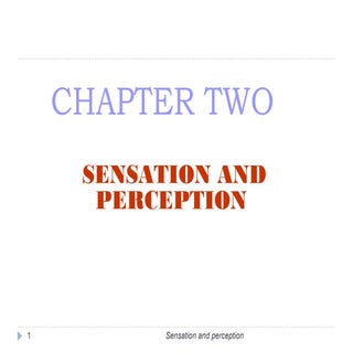 Sensation and perception 