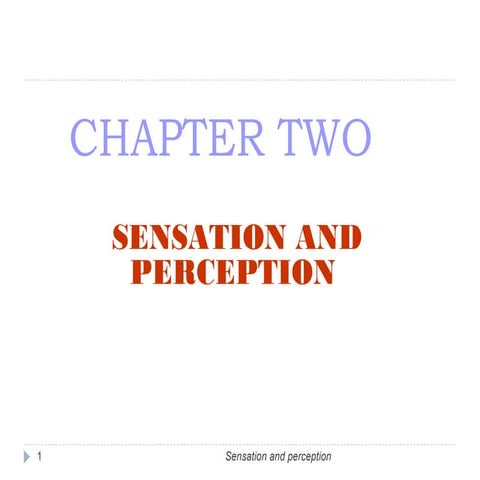 Sensation and perception 
