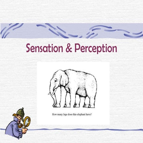 chapter 3 - Sensation and perception 2013