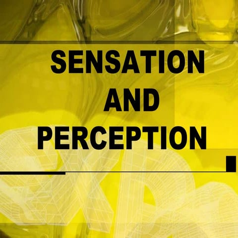 sensation and perception final report