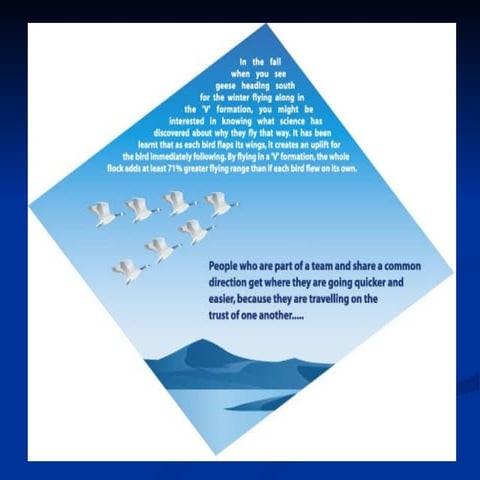 Sense Of Goose | PPT