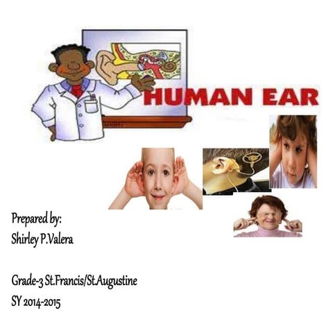 Sense of hearing ppt gr.3 ears