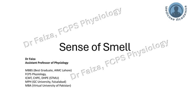 Physiology of Chemical Sensation of smell.pdf