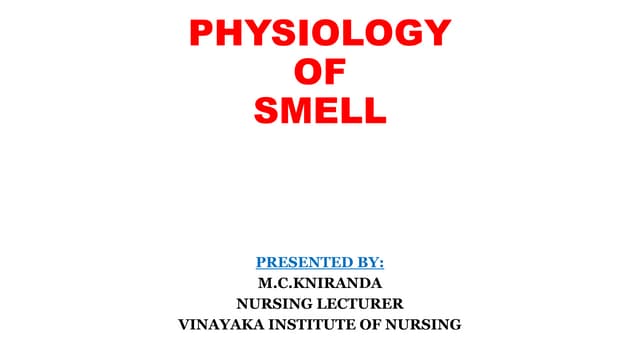 physiology of smell and taste.pptx Biology Diagrams
