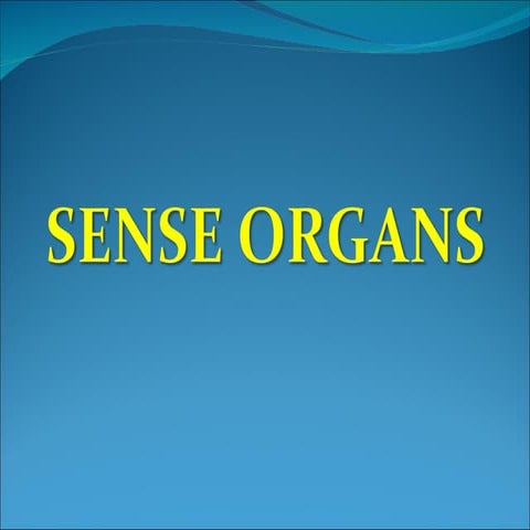 Sense organs