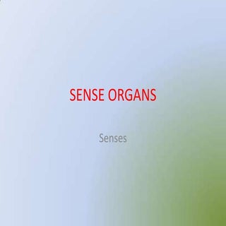 Sense organs