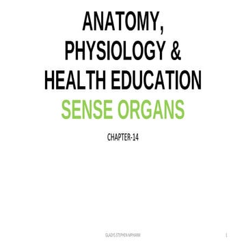 SENSE ORGANS