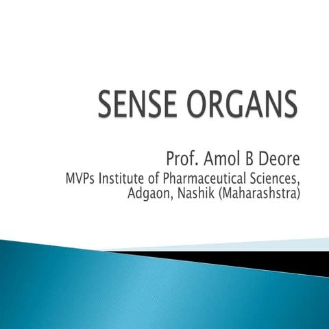 Sense organs