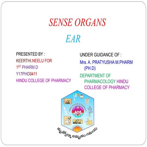 Sense organs ear