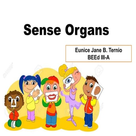 Sense organs of the human body