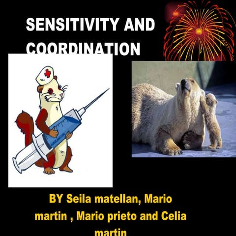 Sensitivity and coordination