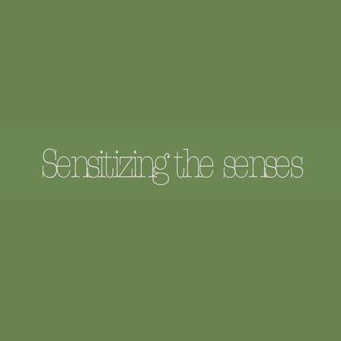 Sensitizing The Senses | PPT