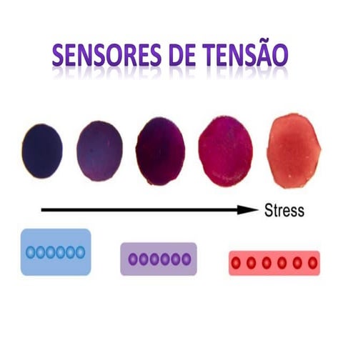 Sensores forças