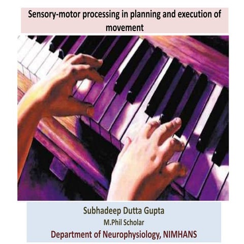 Sensory motor processing in planning and execution of movement