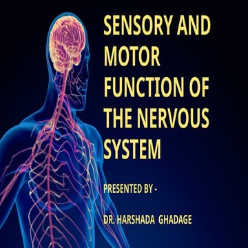 sensory and motor function of Nervous system.pptx