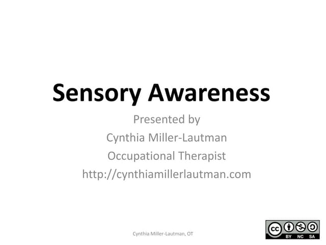 Sensory Awareness Workshop