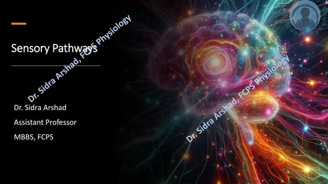 The Physiology of Central Nervous System - Sensory Pathways