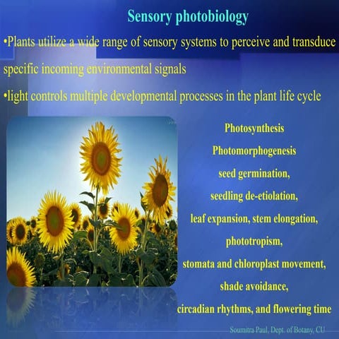 Sensory photobiology