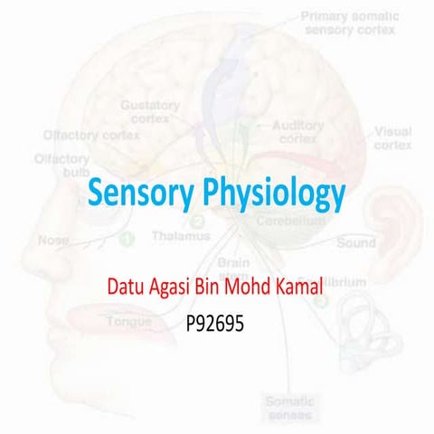 Sensory physiology agasi final