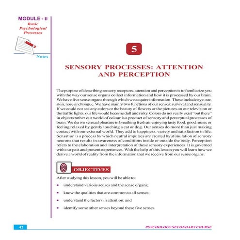 Sensory processes  attention and perception