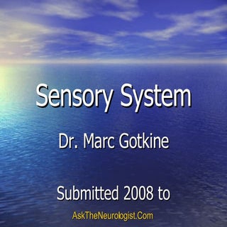 Sensory system