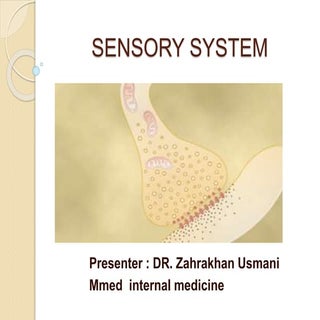 Sensory system. zk