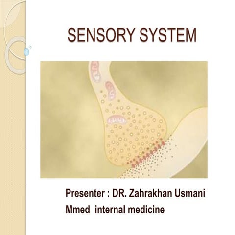 Sensory system. zk