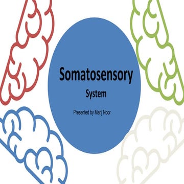 sensory system.pptx