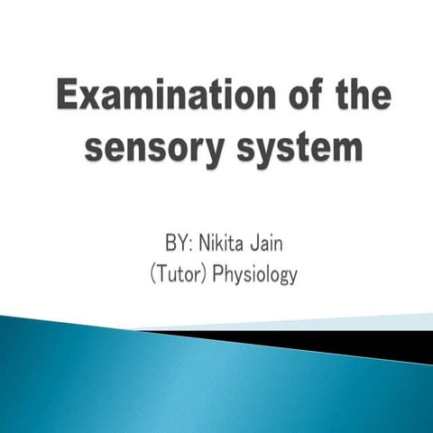 Sensory  System.pptx