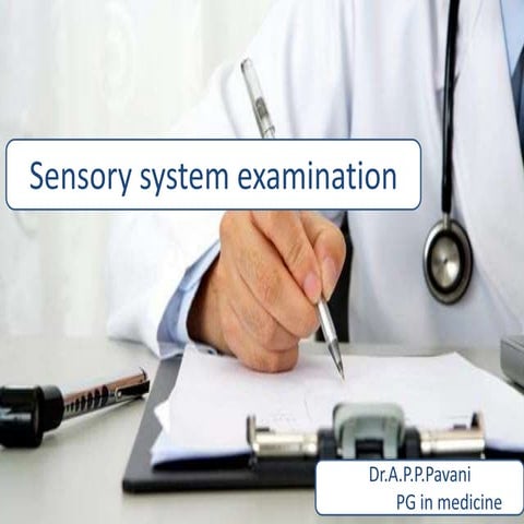 Sensory system examination