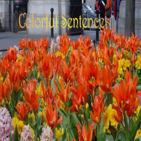 The Power of Sentences