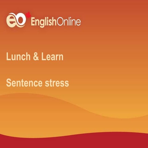 17 19 questions and vocab | DOCX