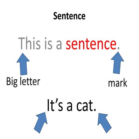 Sentences