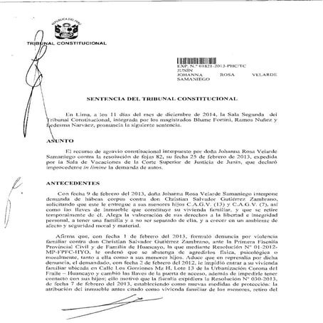 Sentencia tribunal constitucional ( hijos menores )