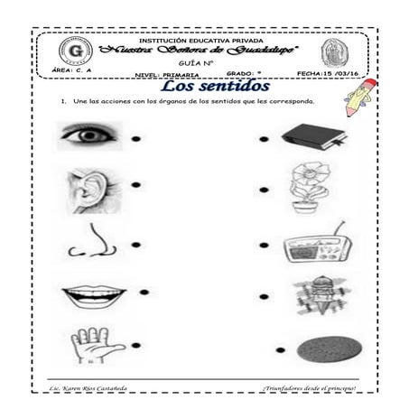 Los Sentidos Para Primero De Primaria Fichas De Traba Vrogueco