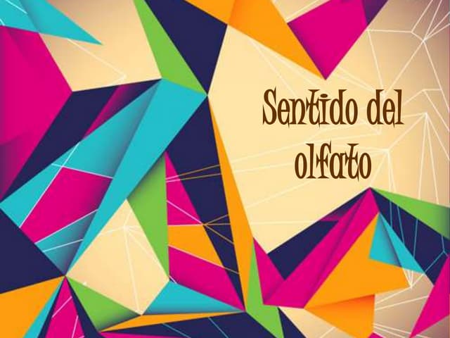 Sentido del olfato